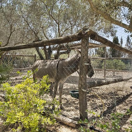 皮拉尔－德拉奥拉达达Cambiardeaires Rural Piedra别墅 外观 照片
