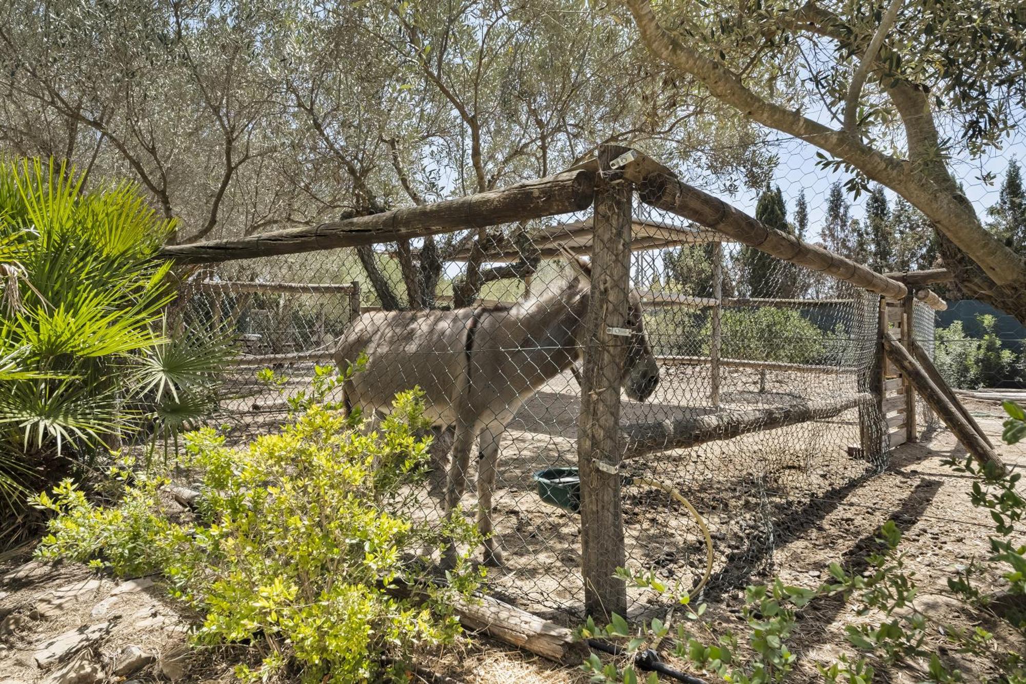 皮拉尔－德拉奥拉达达Cambiardeaires Rural Piedra别墅 外观 照片